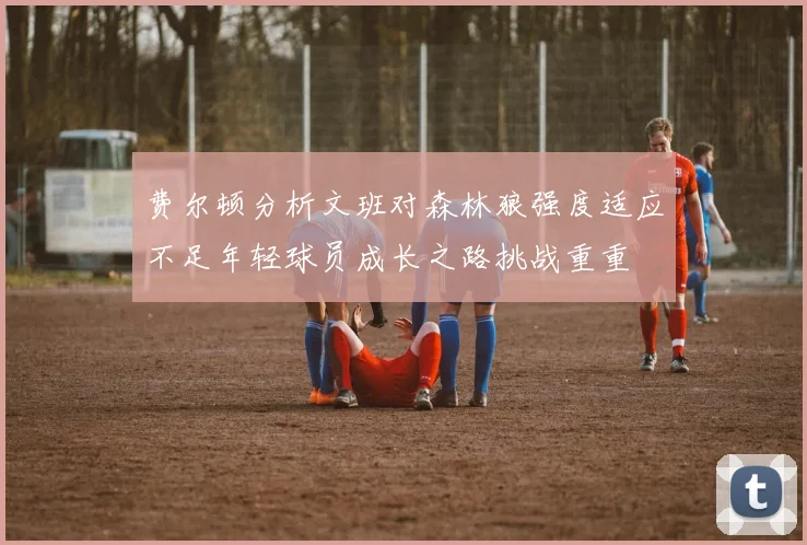 费尔顿分析文班对森林狼强度适应不足年轻球员成长之路挑战重重