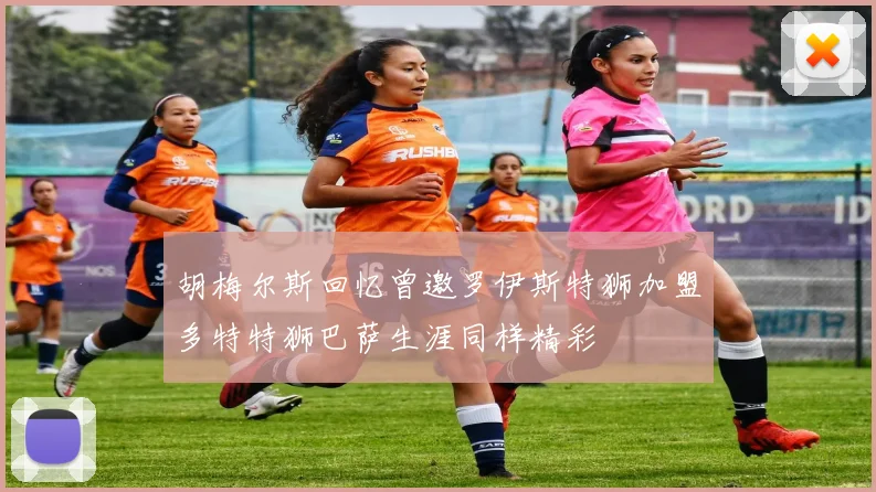 胡梅尔斯回忆曾邀罗伊斯特狮加盟多特特狮巴萨生涯同样精彩