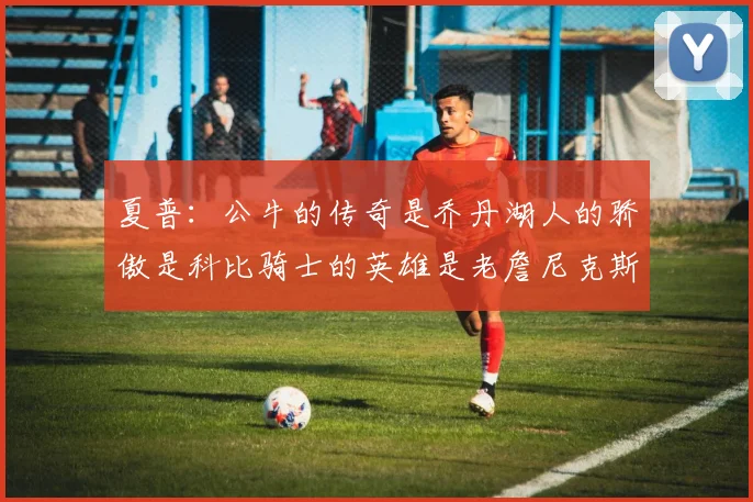 夏普：公牛的传奇是乔丹湖人的骄傲是科比骑士的英雄是老詹尼克斯的希望是布伦森